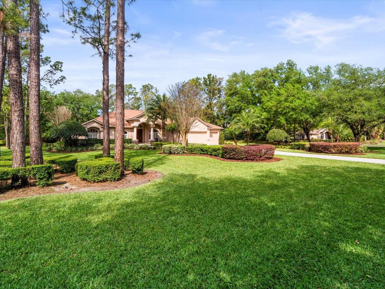 428 PINE BLUFF DR