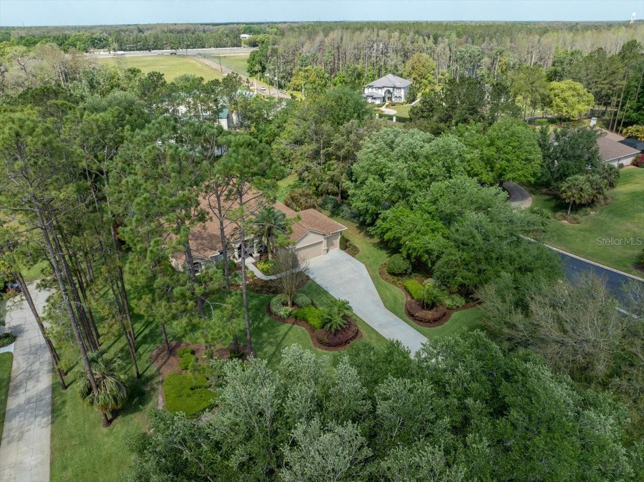 428 PINE BLUFF DR