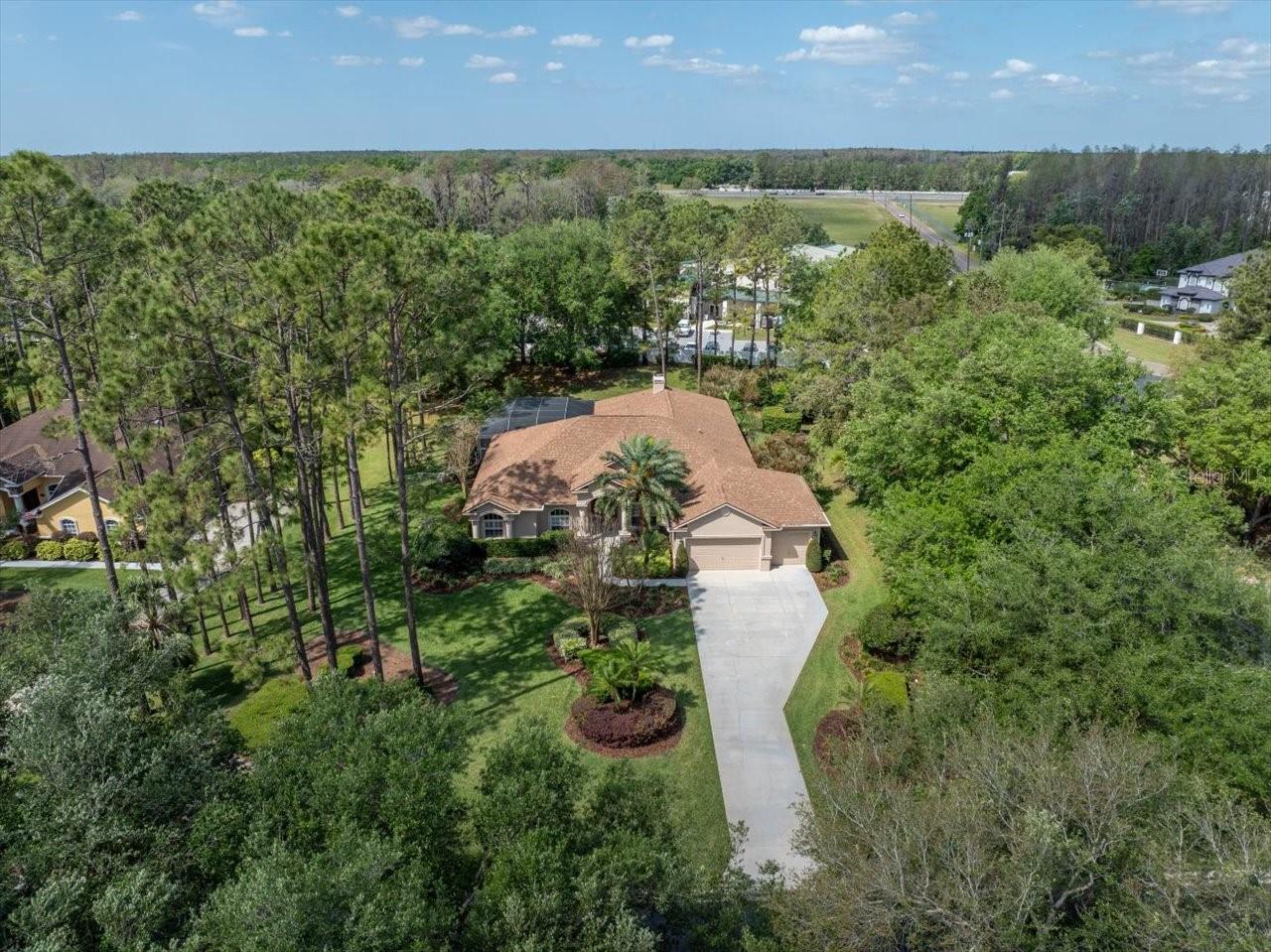428 PINE BLUFF DR