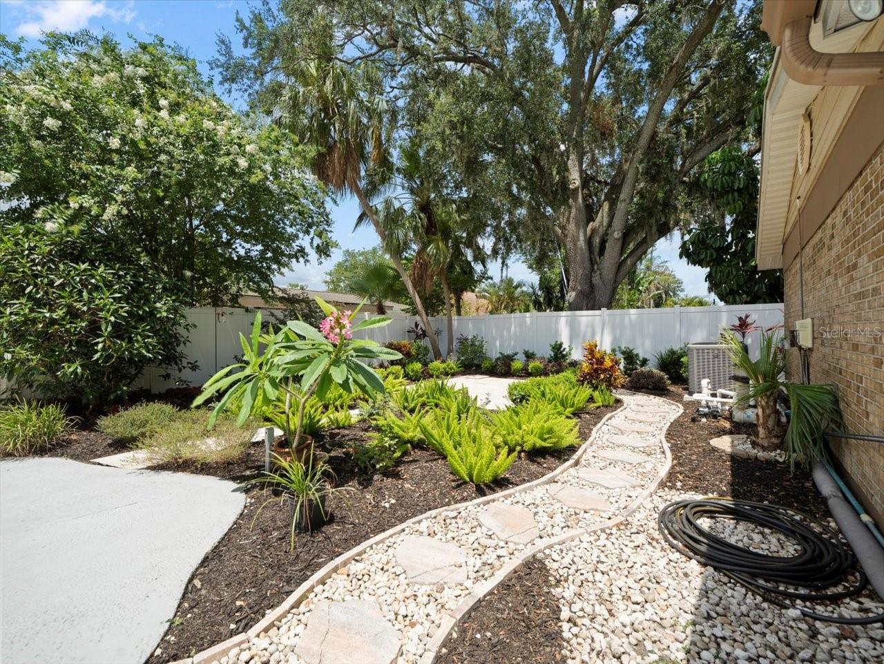 3325 SCHEFFLERA RD