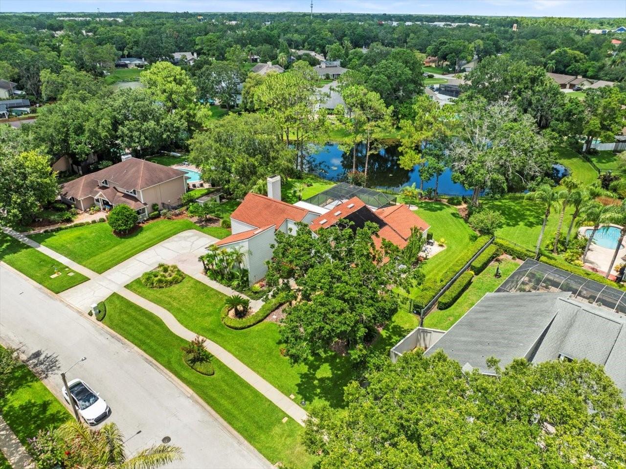 4118 CARROLLWOOD VILLAGE DR