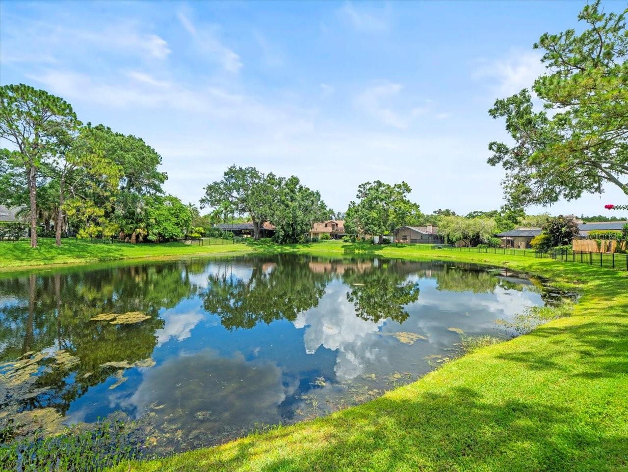 4118 CARROLLWOOD VILLAGE DR