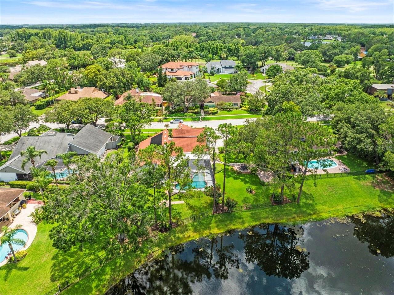 4118 CARROLLWOOD VILLAGE DR