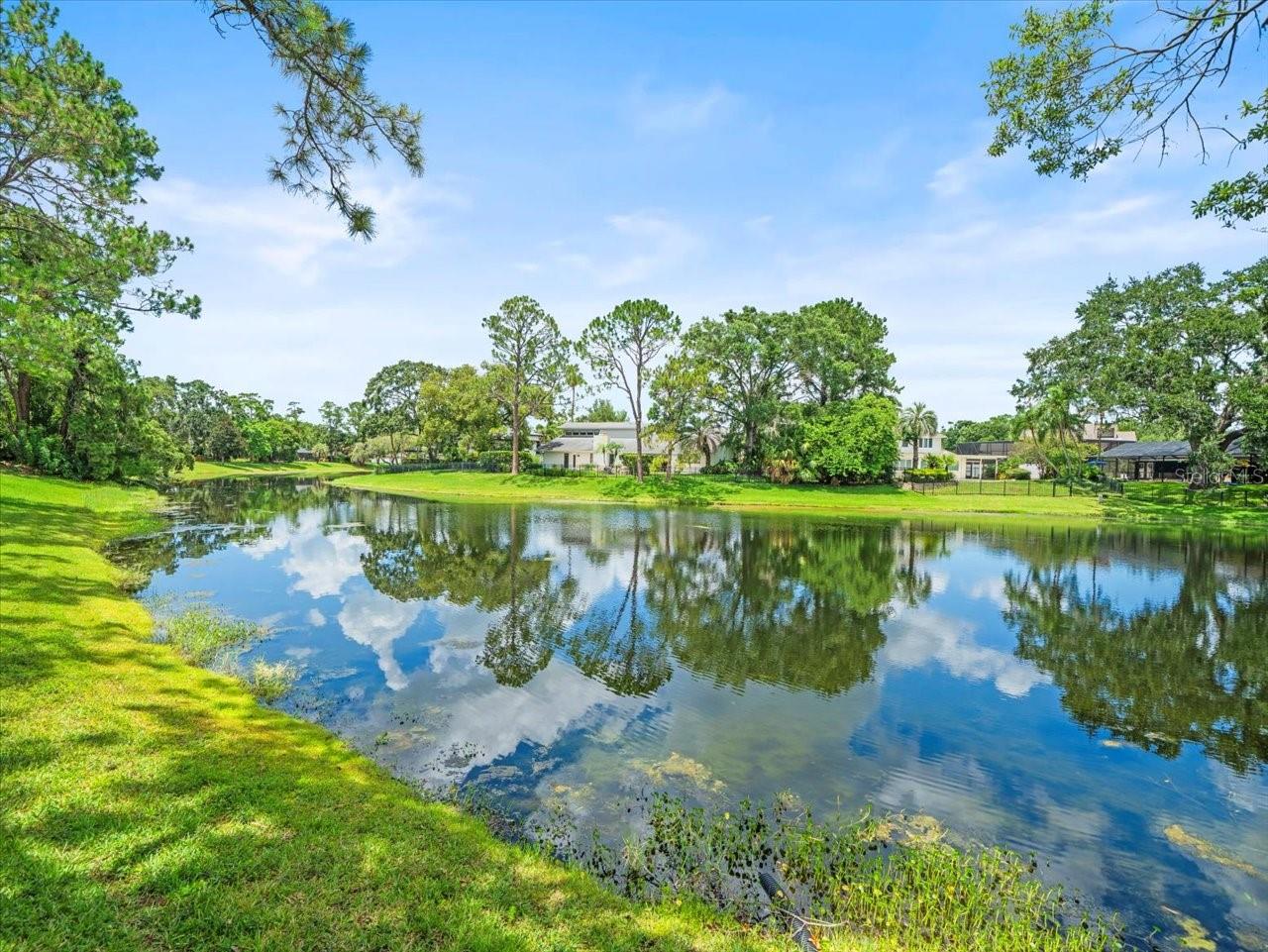 4118 CARROLLWOOD VILLAGE DR