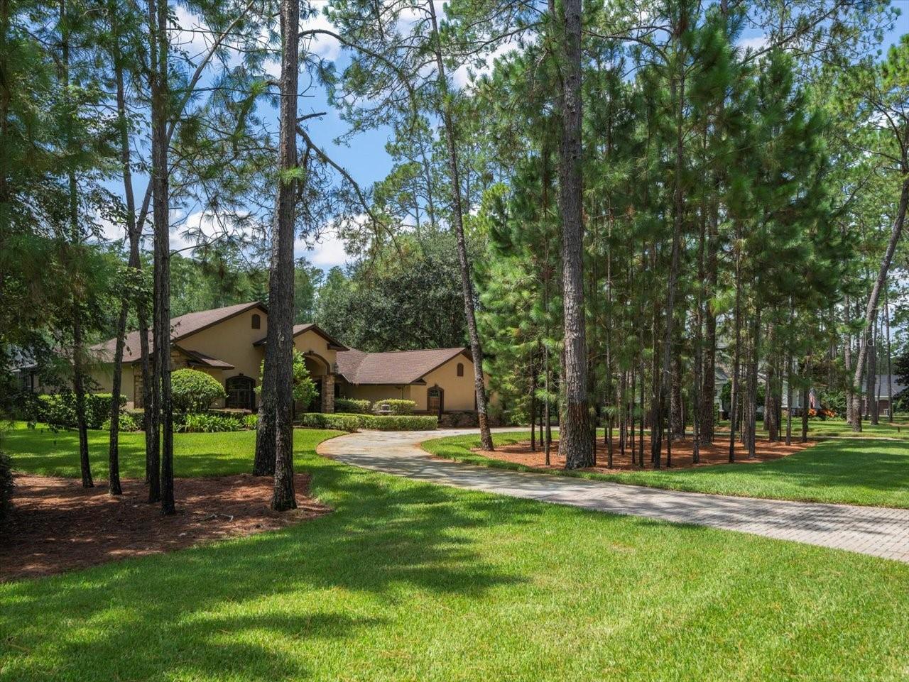 412 PINE BLUFF DR