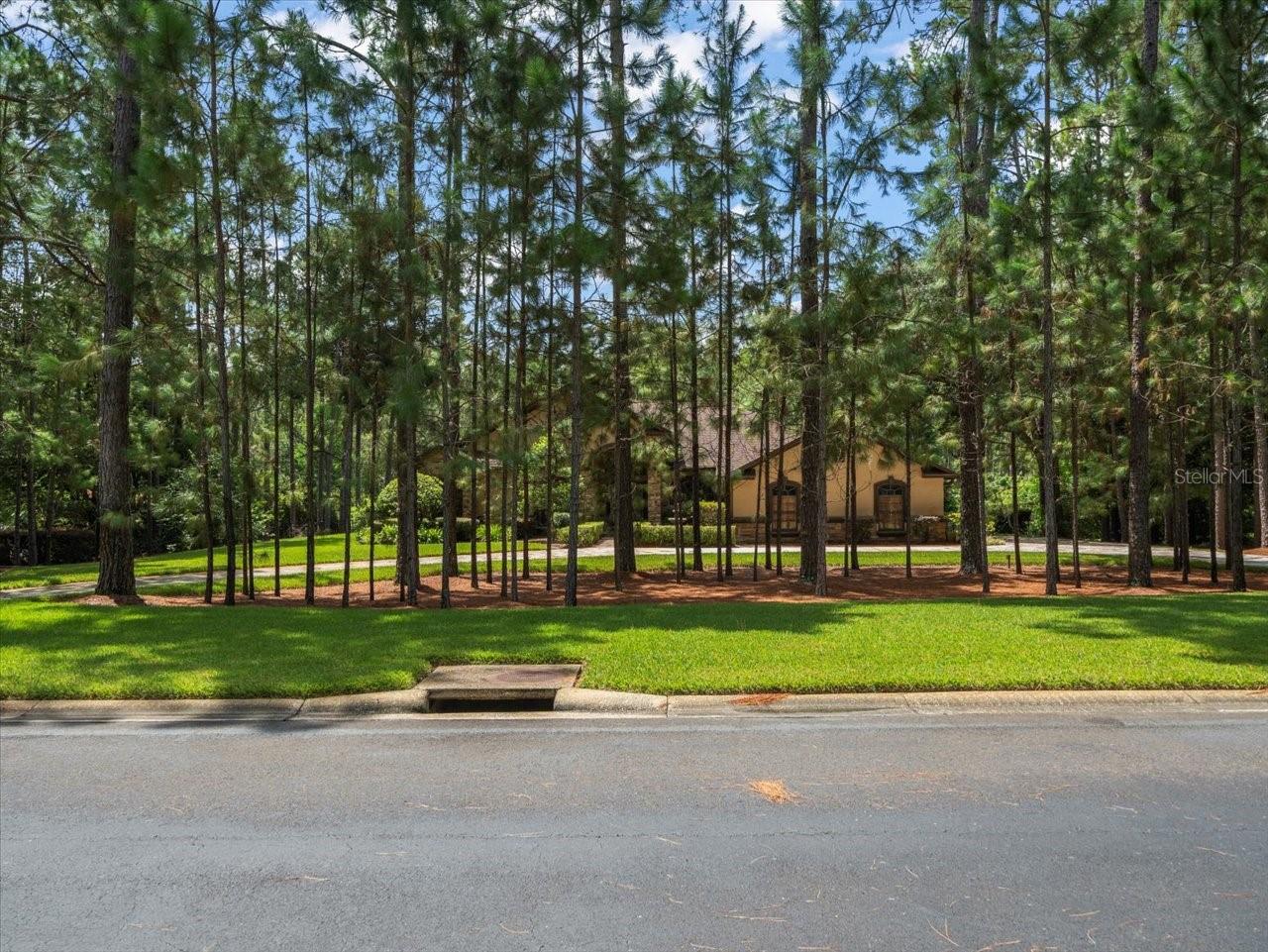412 PINE BLUFF DR