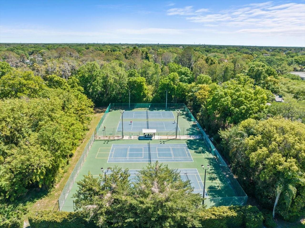 10305 ORANGE GROVE DR