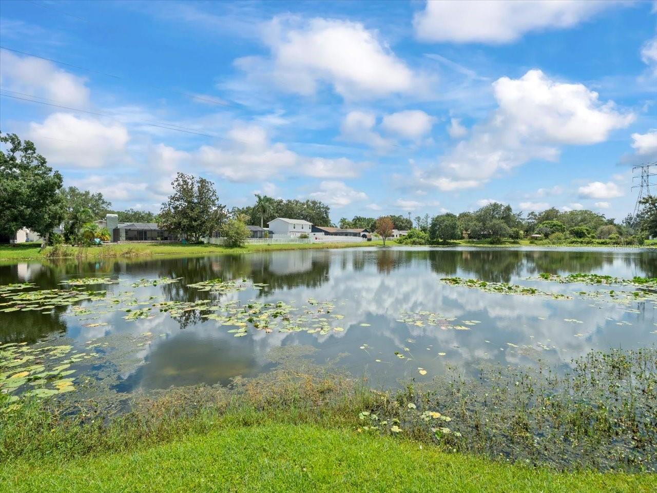 15909 MARSHFIELD DRIVE DR