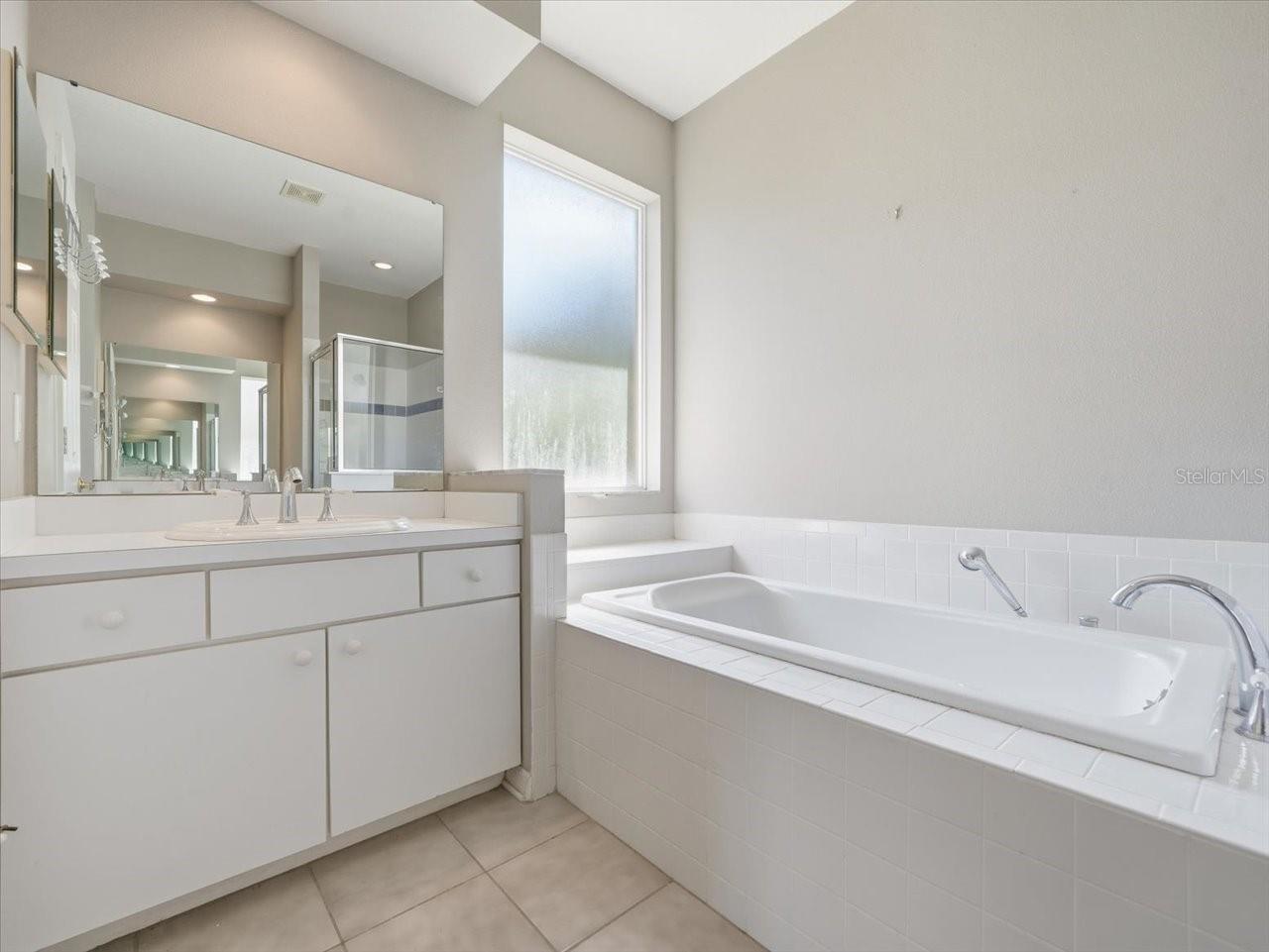 19607 MORDEN BLUSH DR