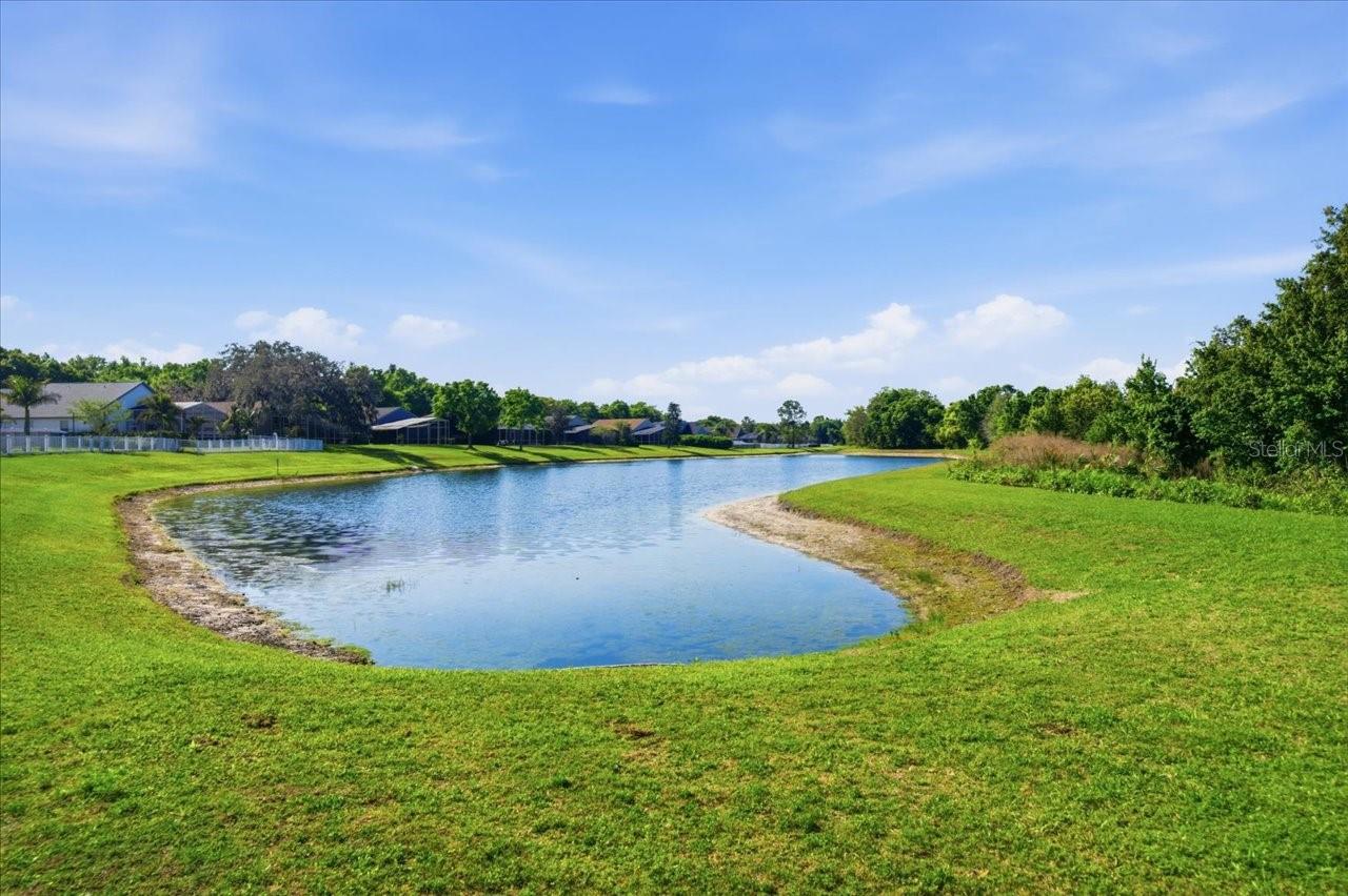 15212 ARBOR HOLLOW DR