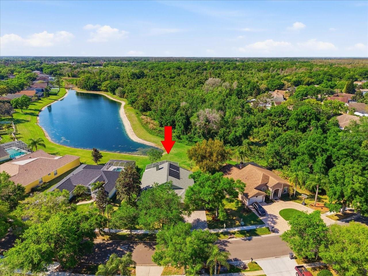 15212 ARBOR HOLLOW DR