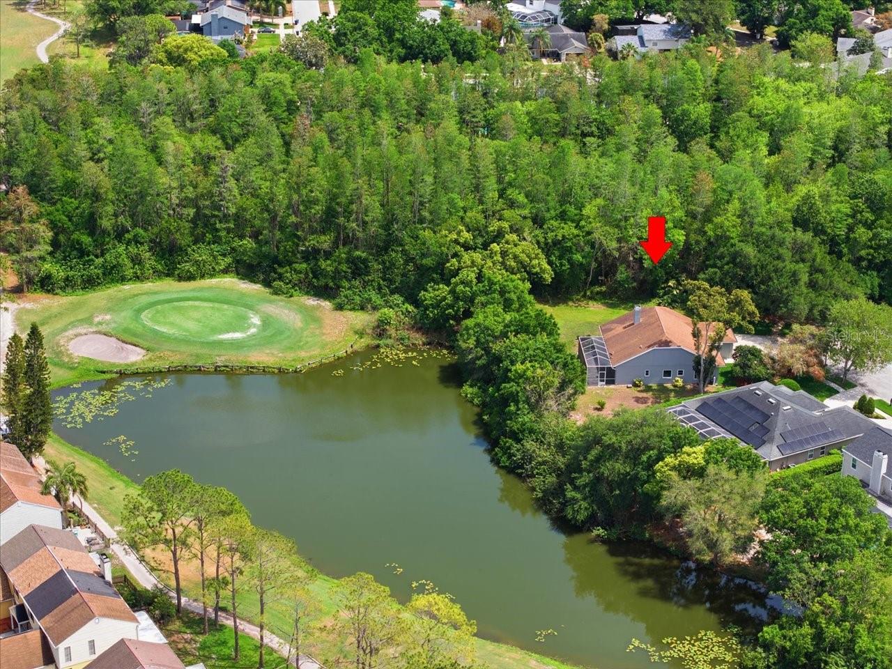 4401 KETTLE CREEK CT