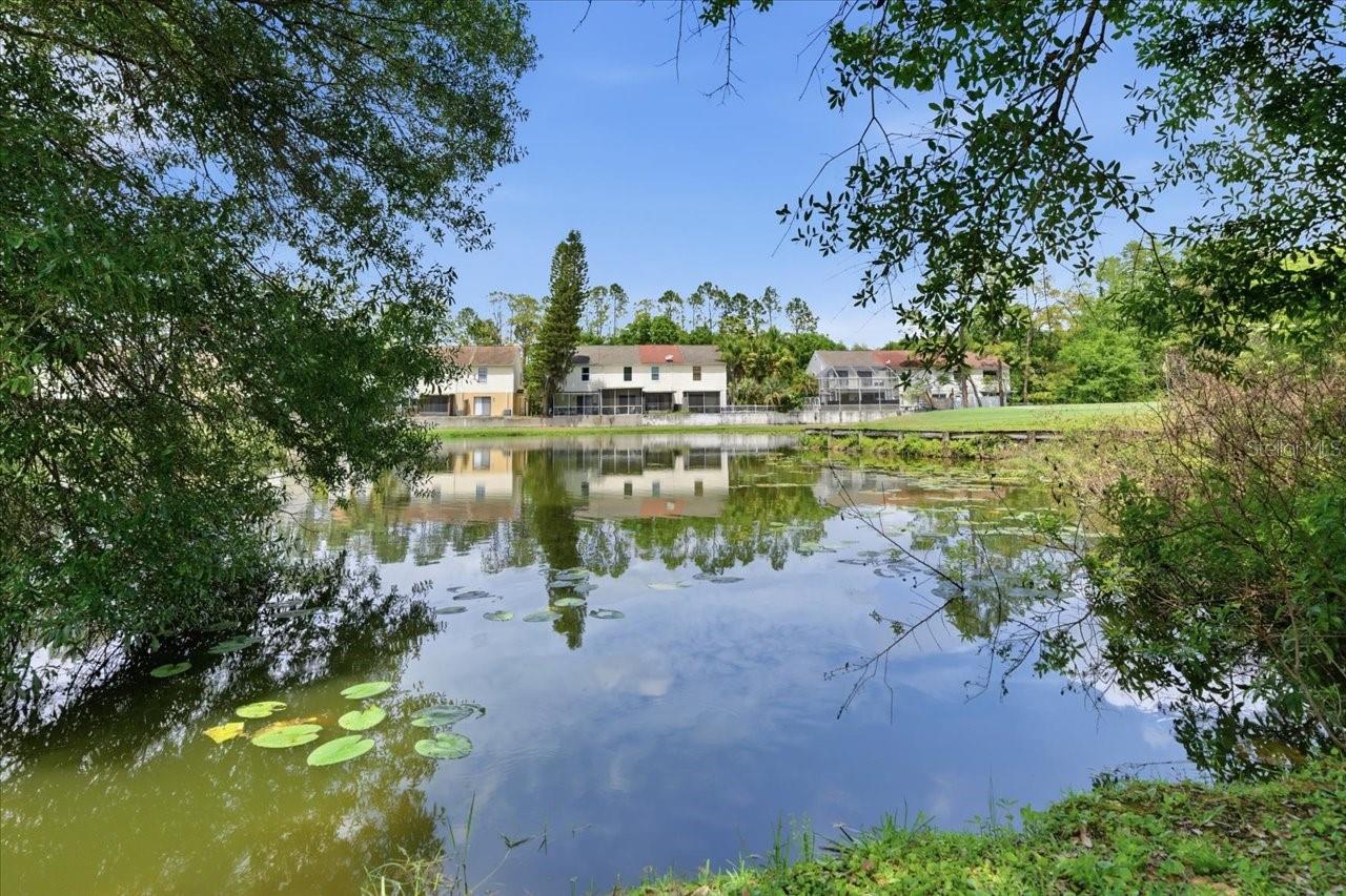 4401 KETTLE CREEK CT