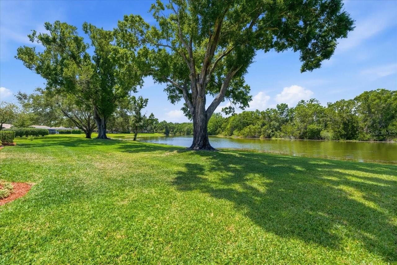 4326 MIDDLE LAKE DR