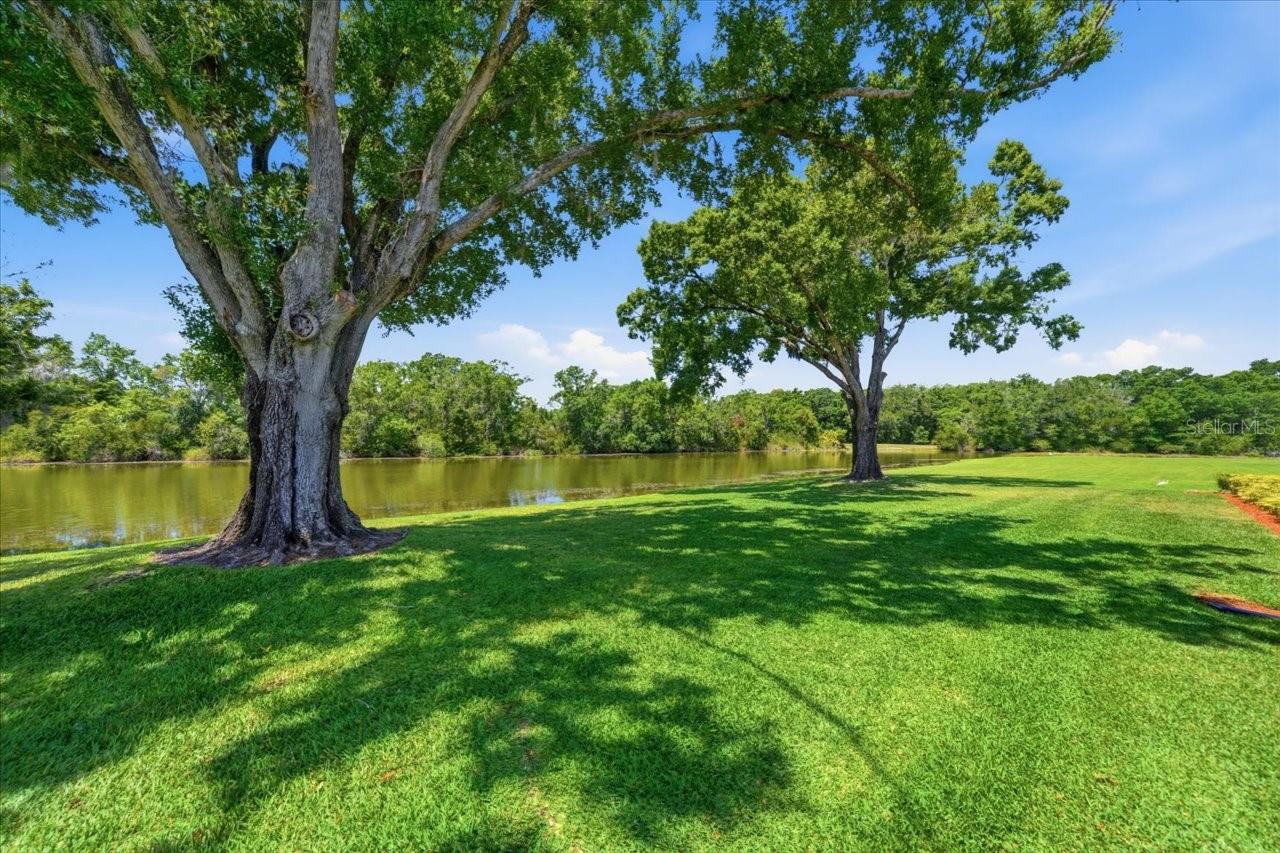 4326 MIDDLE LAKE DR