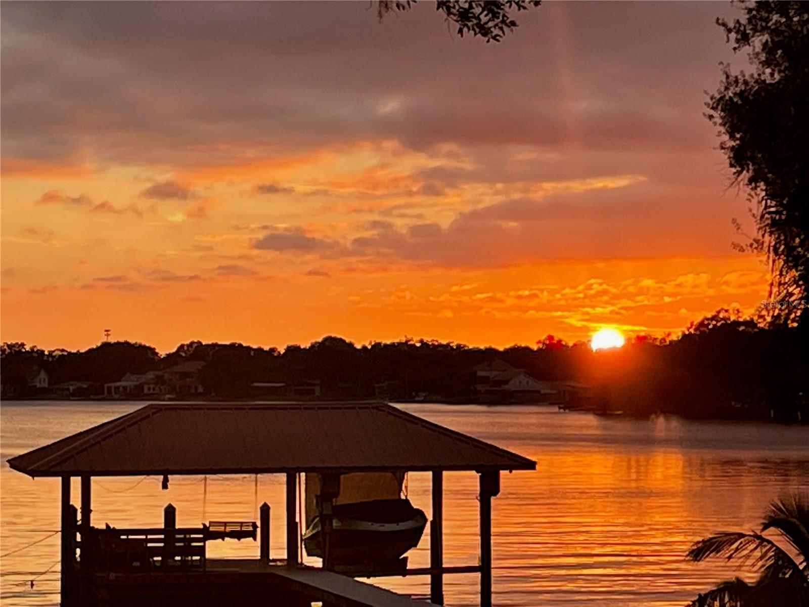 TAMPA