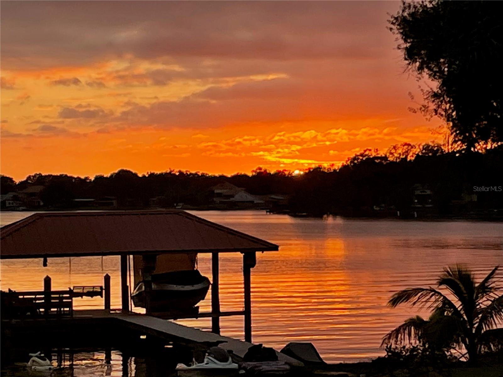TAMPA