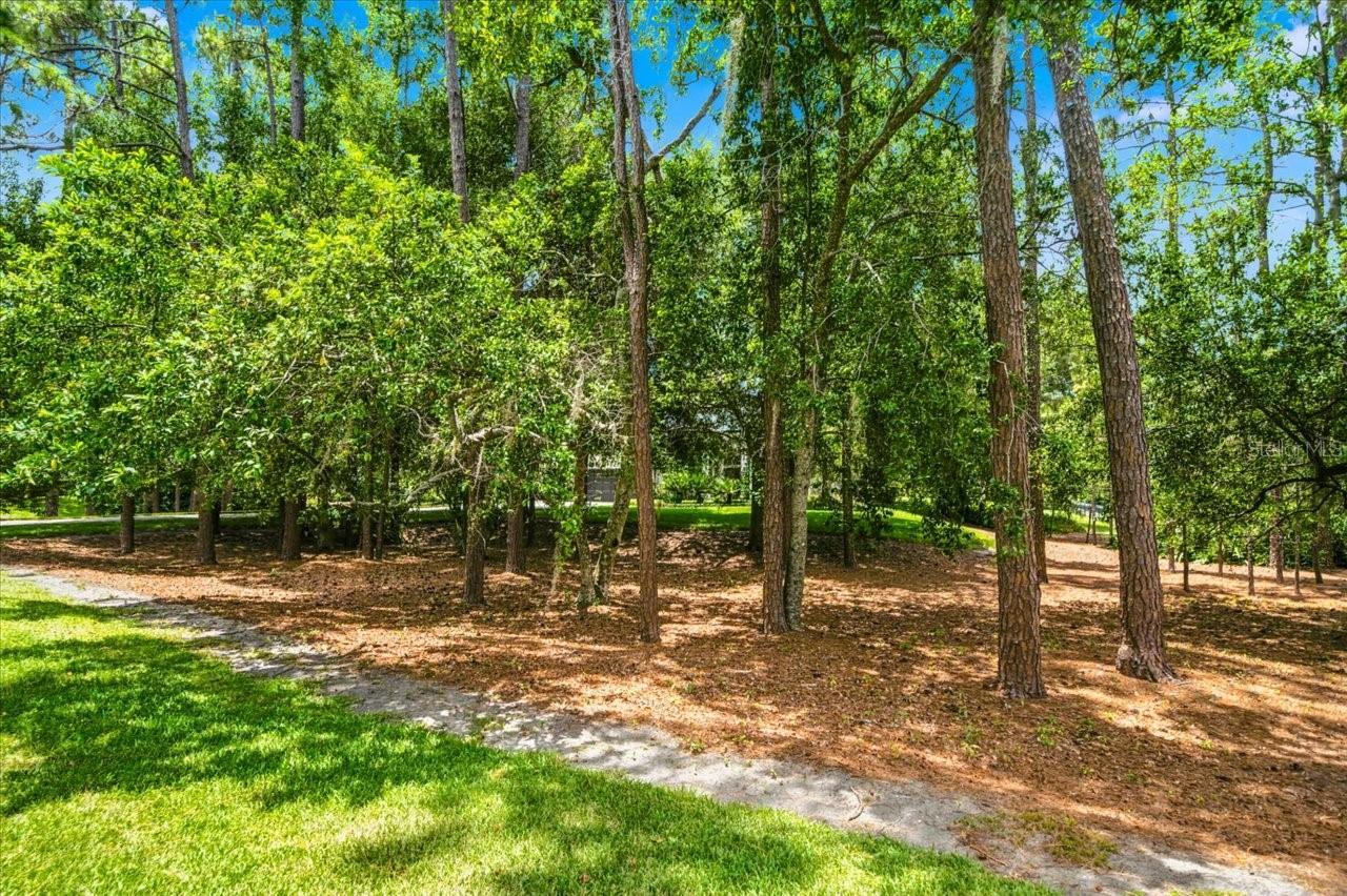 418 PINE BLUFF DR