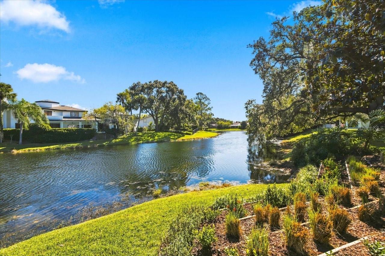 4110 CARROLLWOOD VILLAGE DR