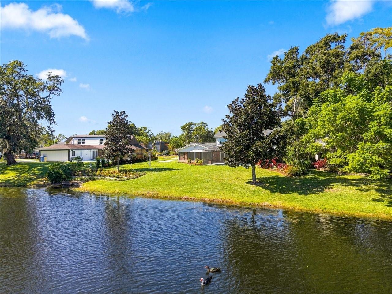 4110 CARROLLWOOD VILLAGE DR