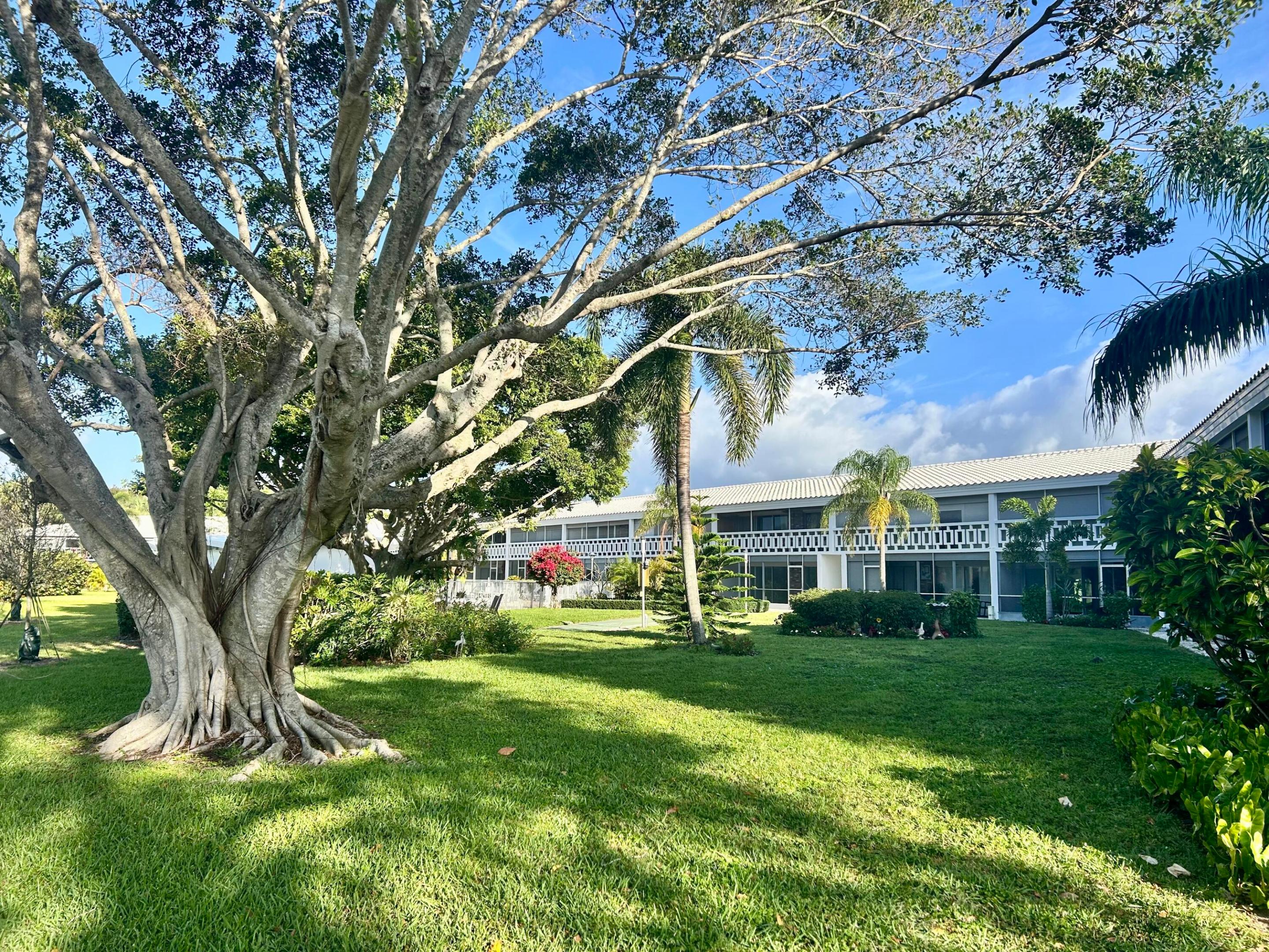 331 TEQUESTA Drive Unit: 216