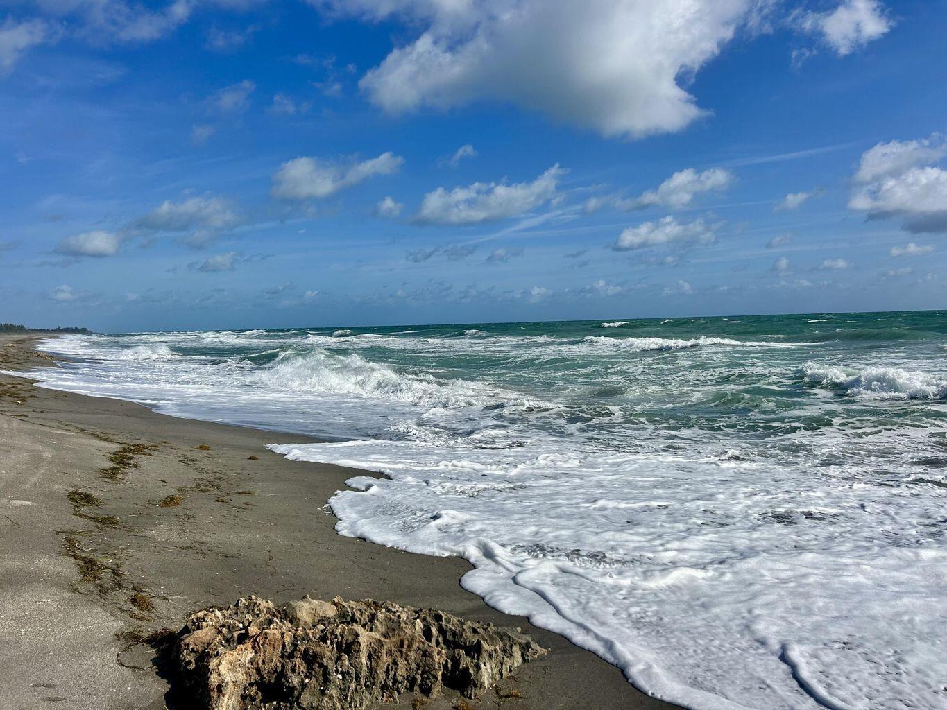 331 TEQUESTA Drive Unit: 216
