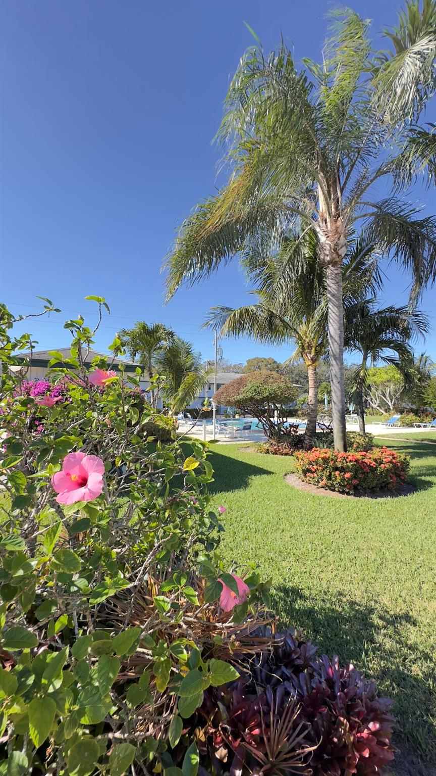 3 Garden Street 105k