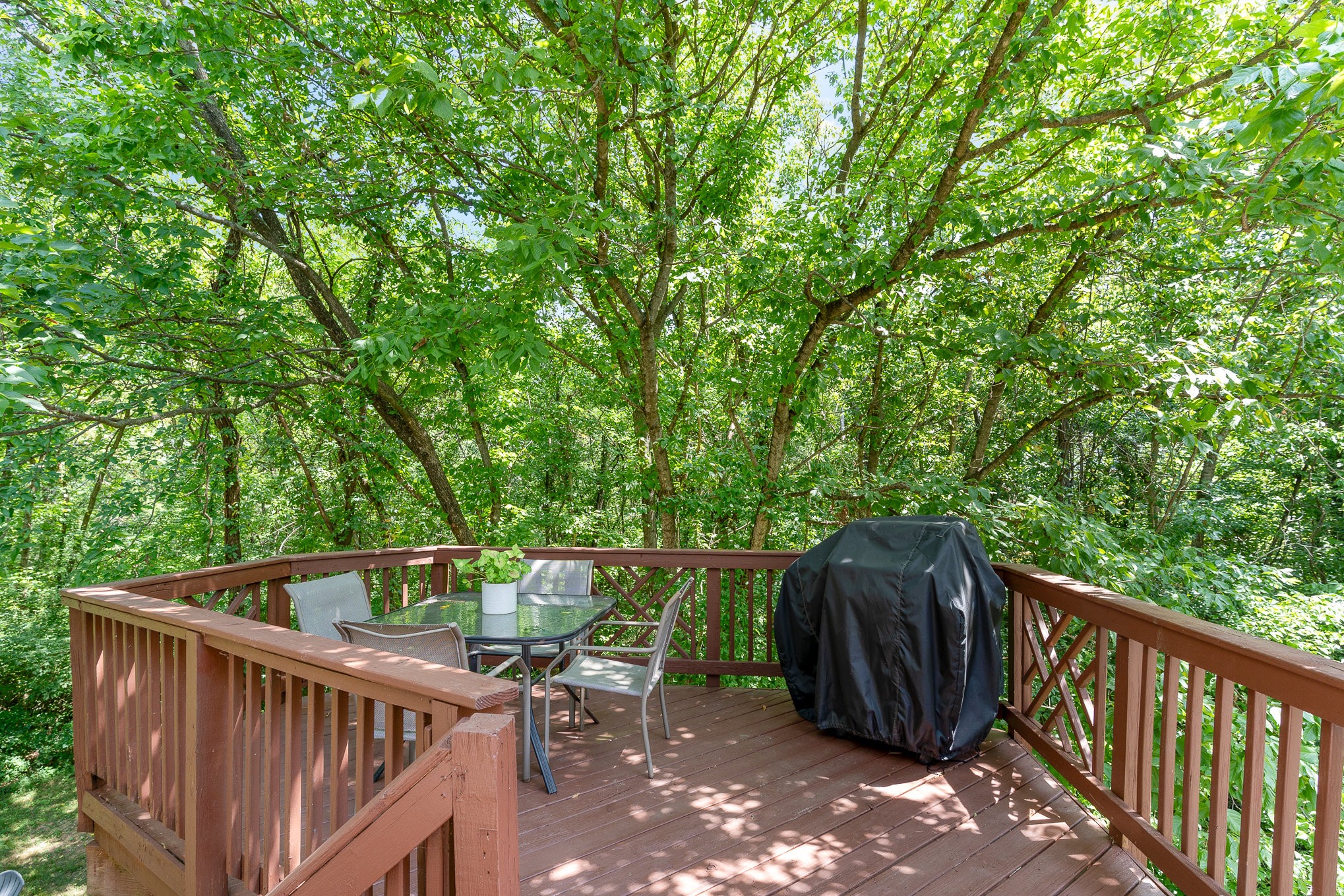 1036 Elmshade Ln
