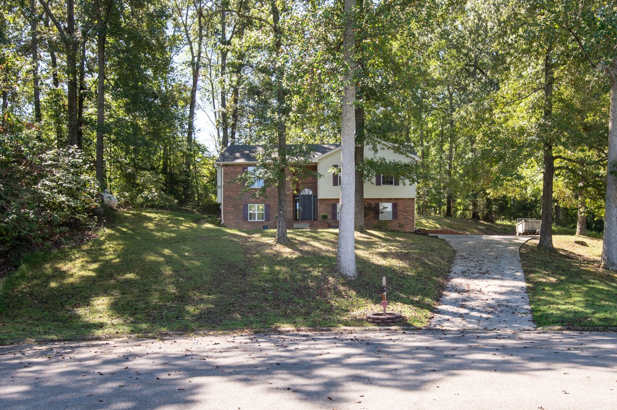 7408 Meadowwood Way