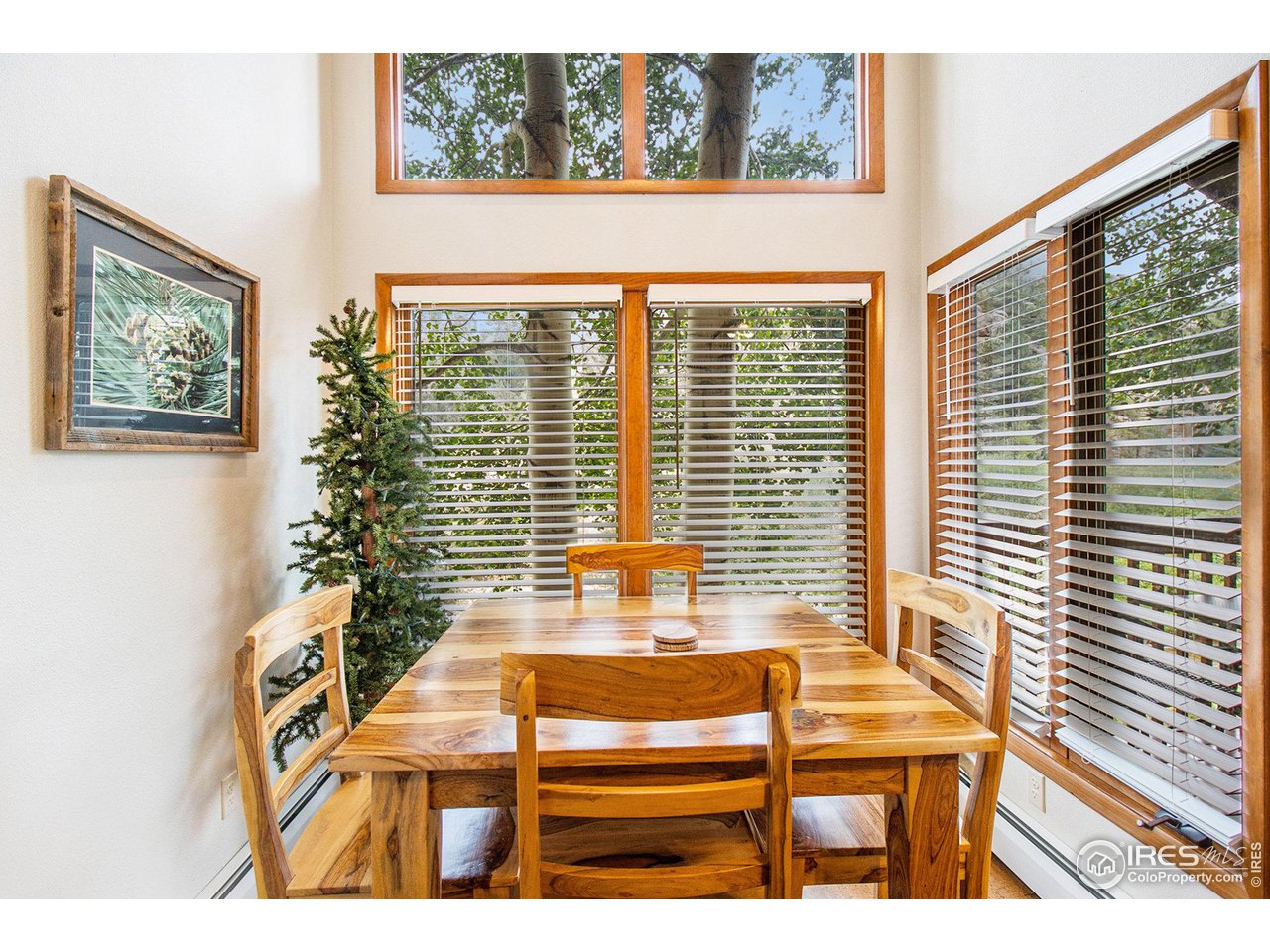 1051 Fall River Ct #4