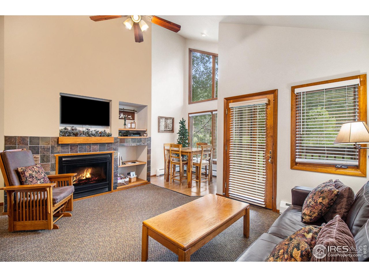 1051 Fall River Ct #4