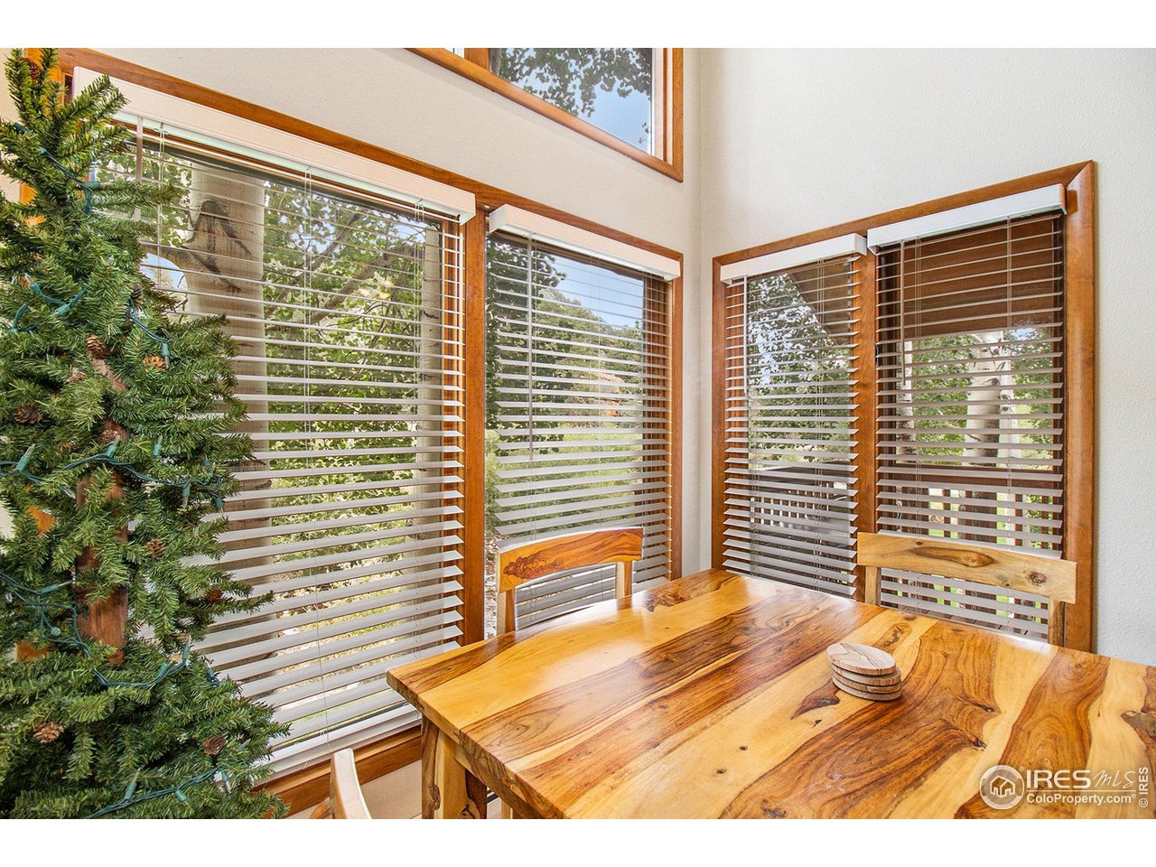 1051 Fall River Ct #4