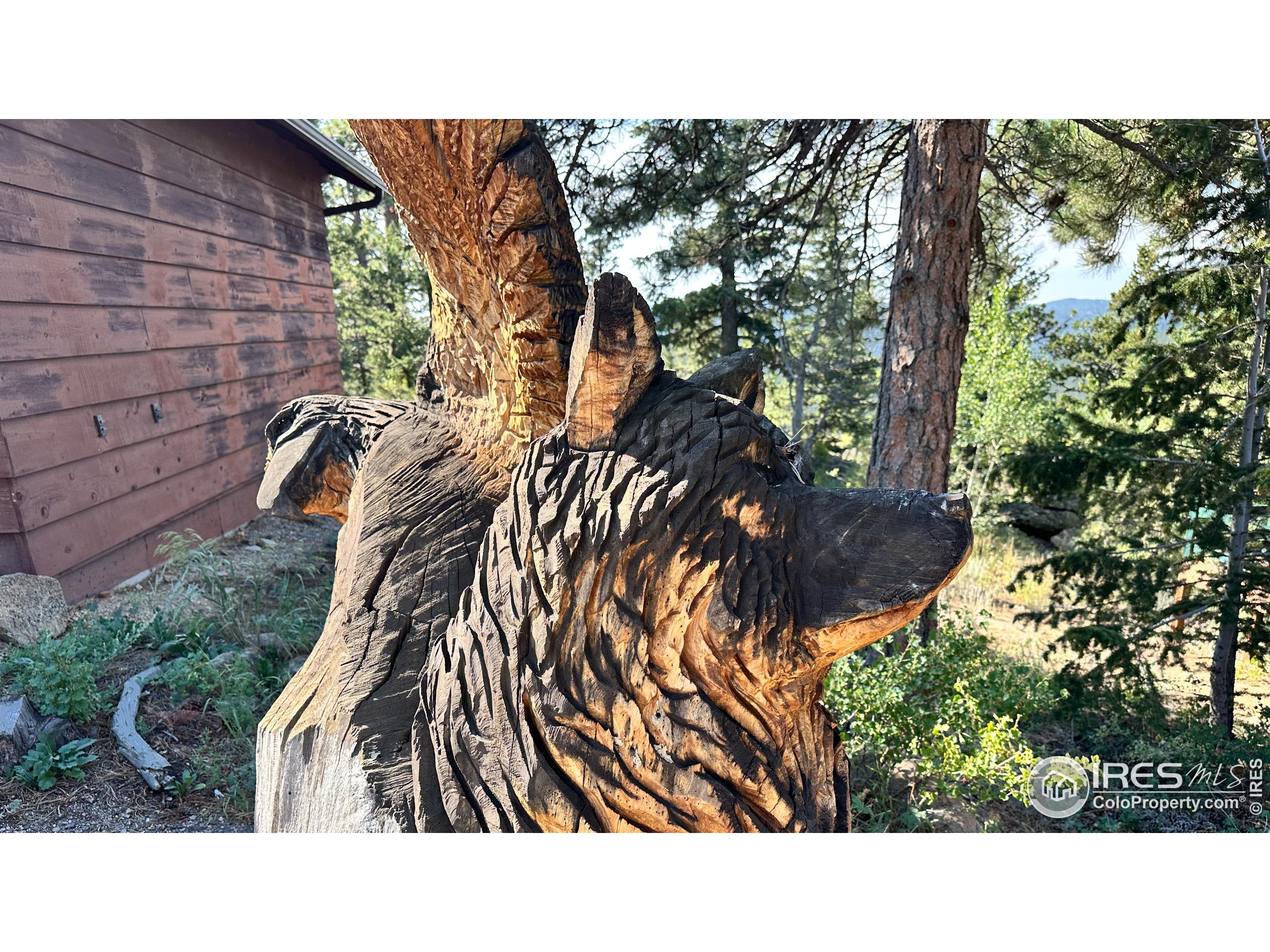 34 Alpine Dr