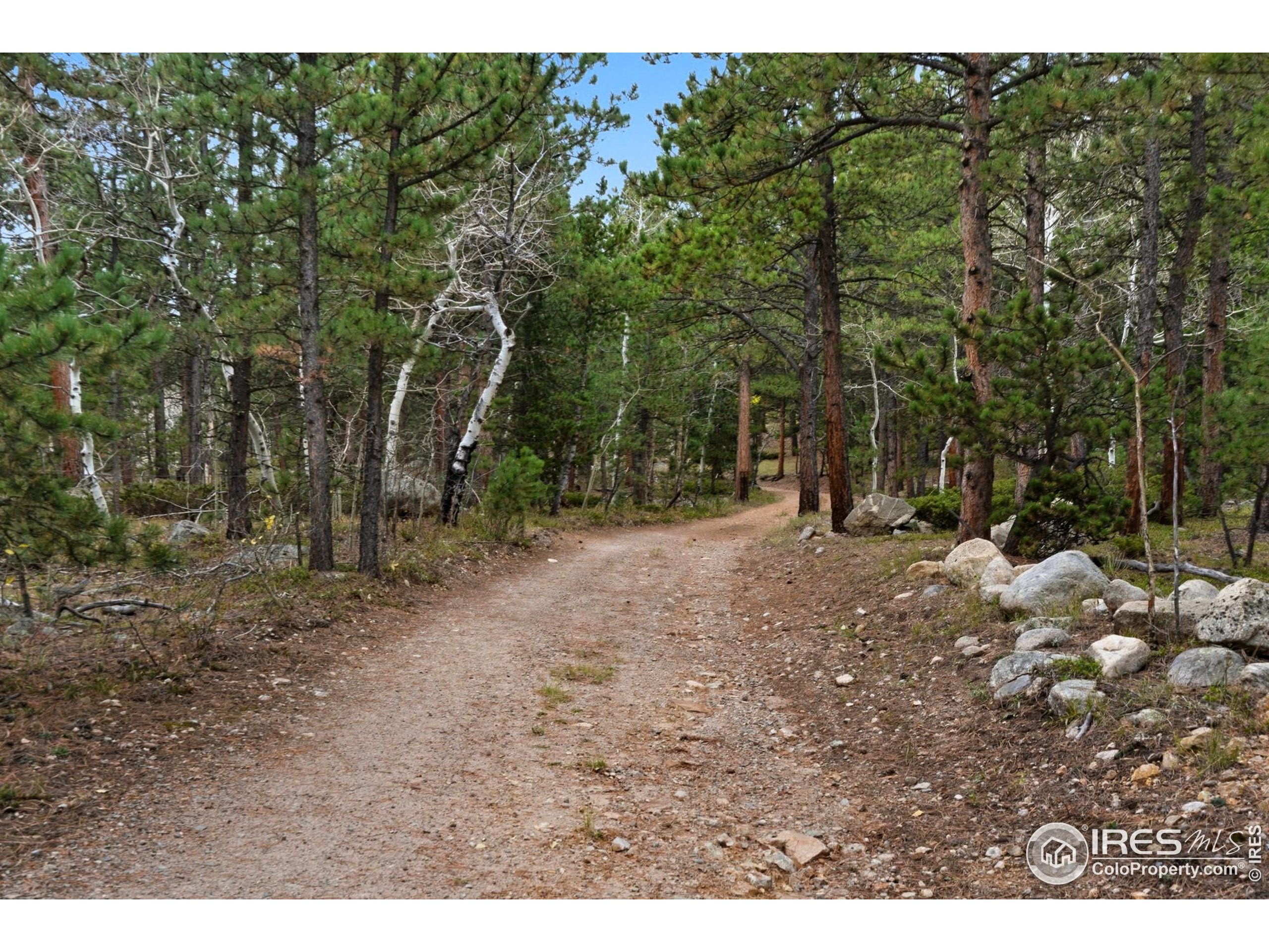 433 County Road 84 W