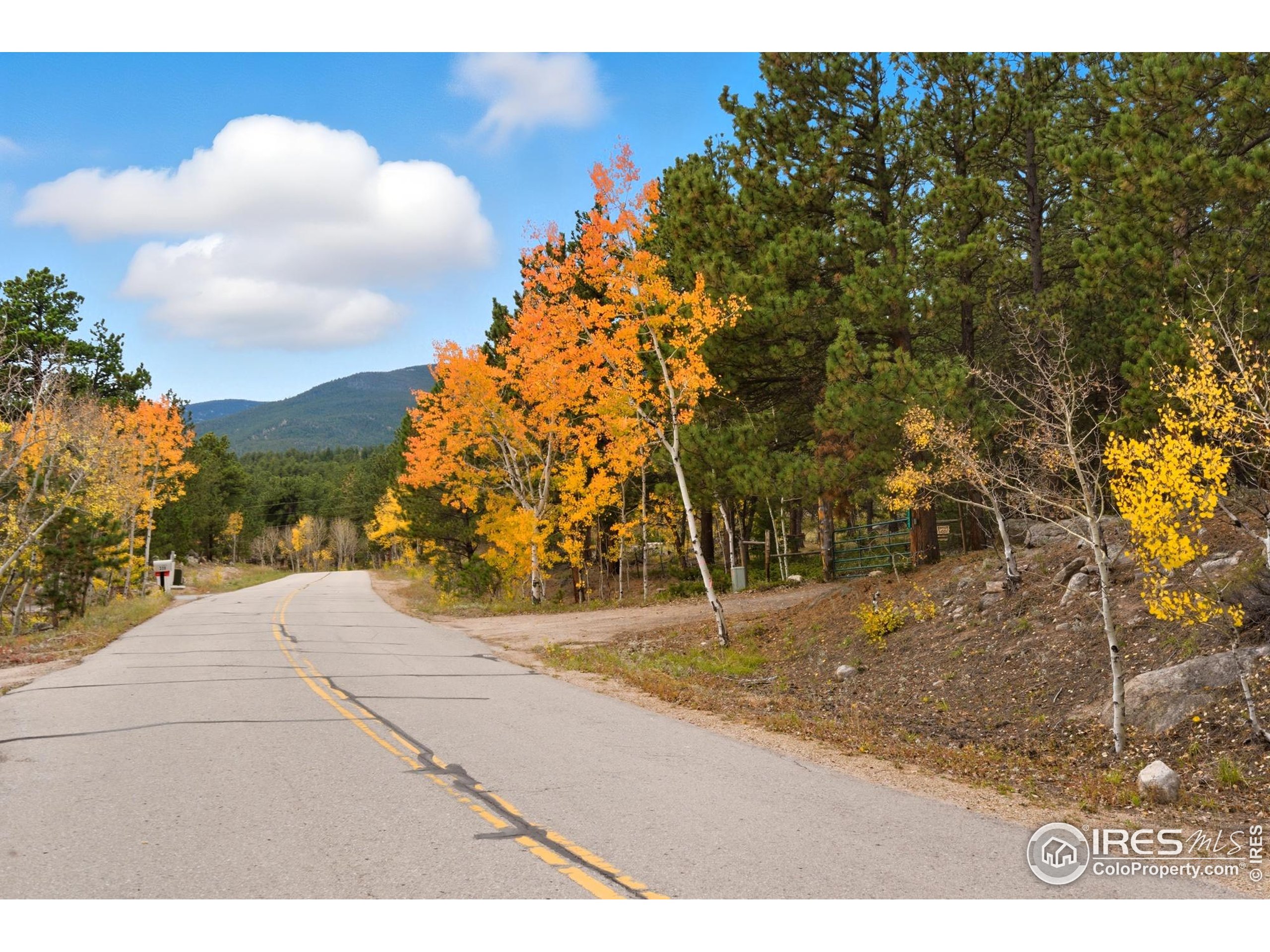 433 County Road 84 W