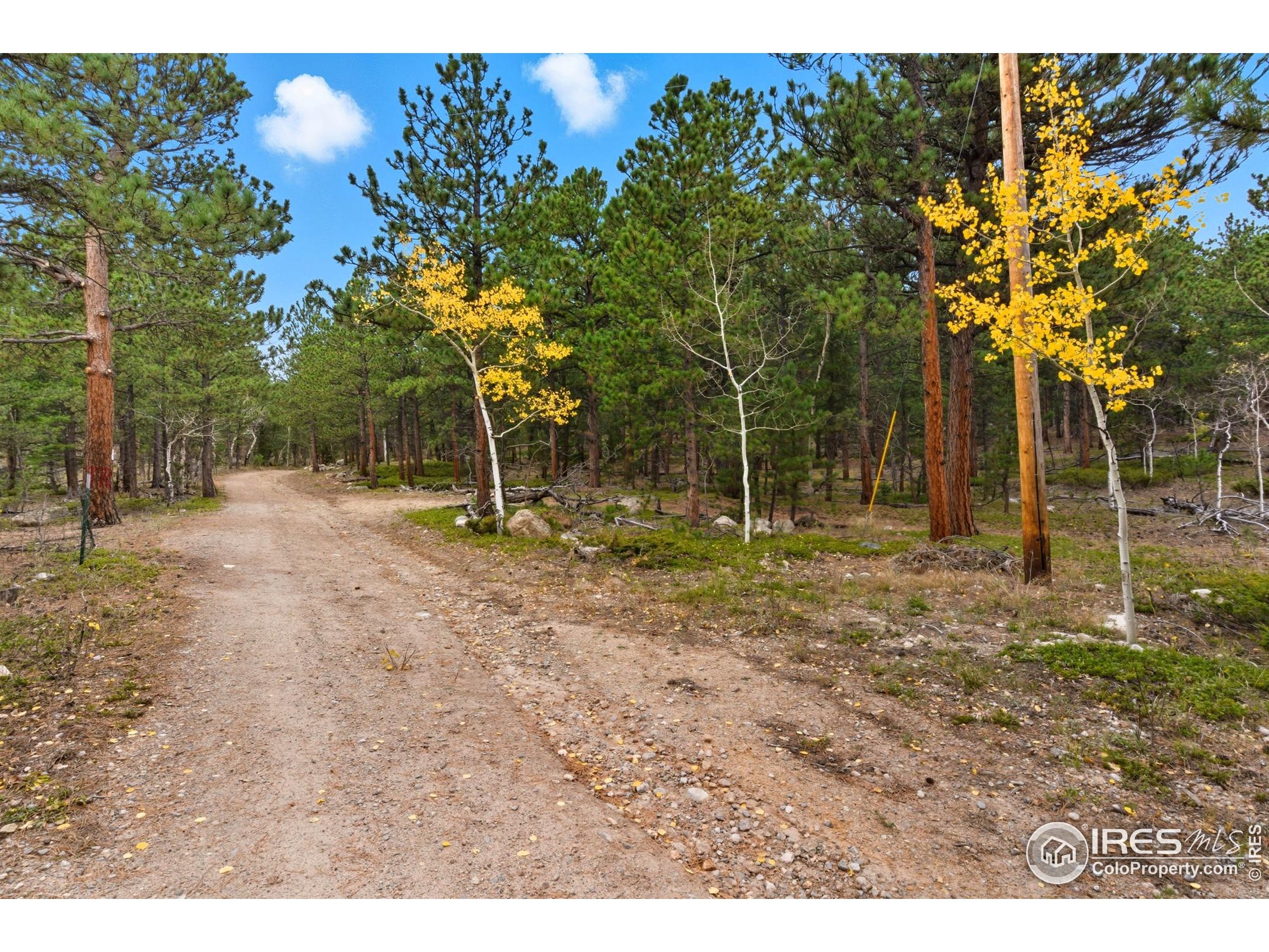 433 County Road 84 W