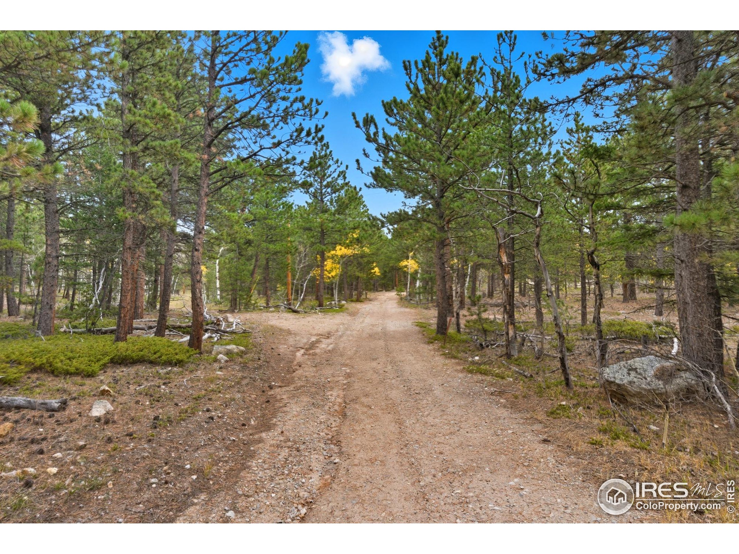 437 County Road 84 W