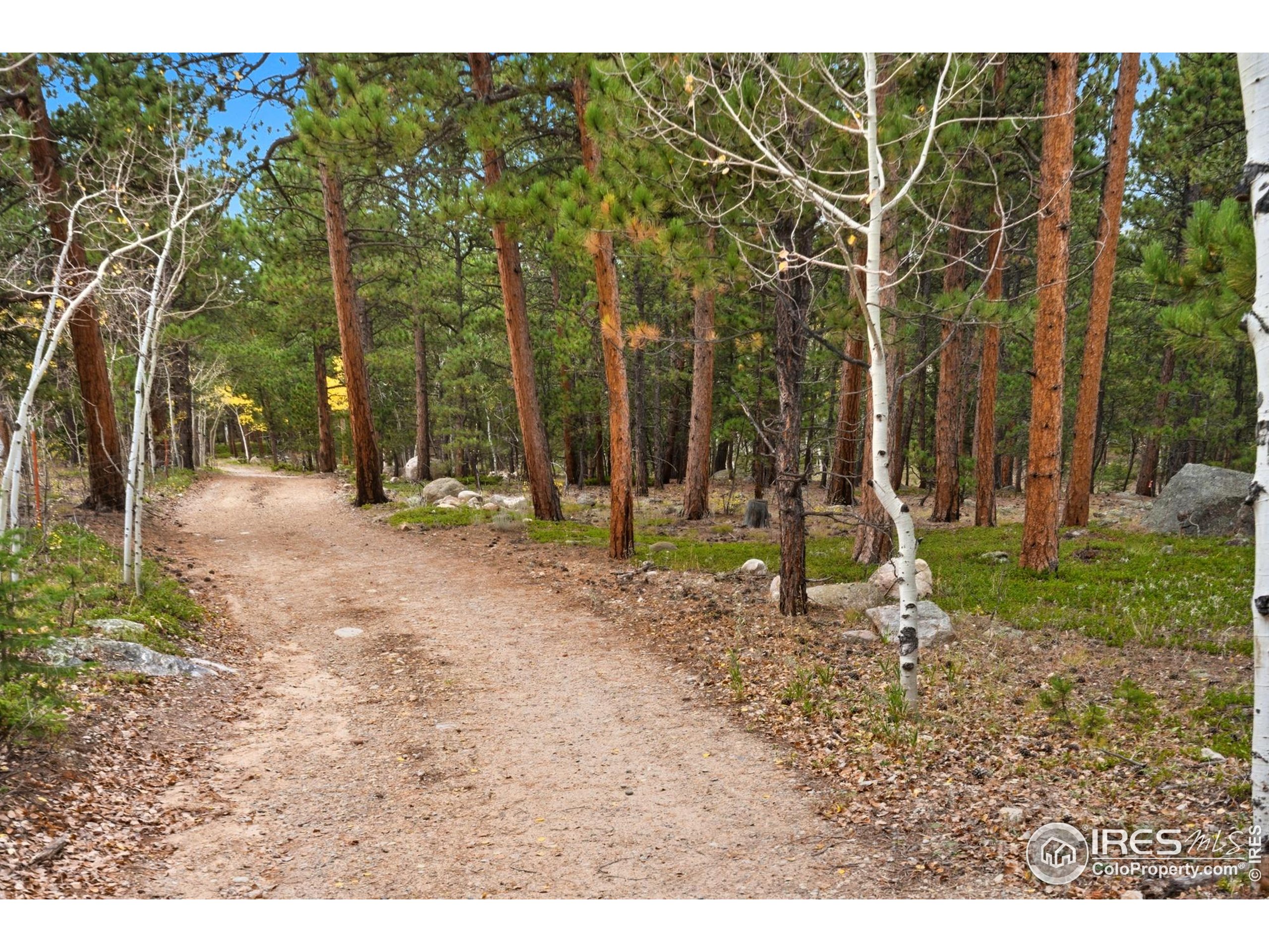 437 County Road 84 W