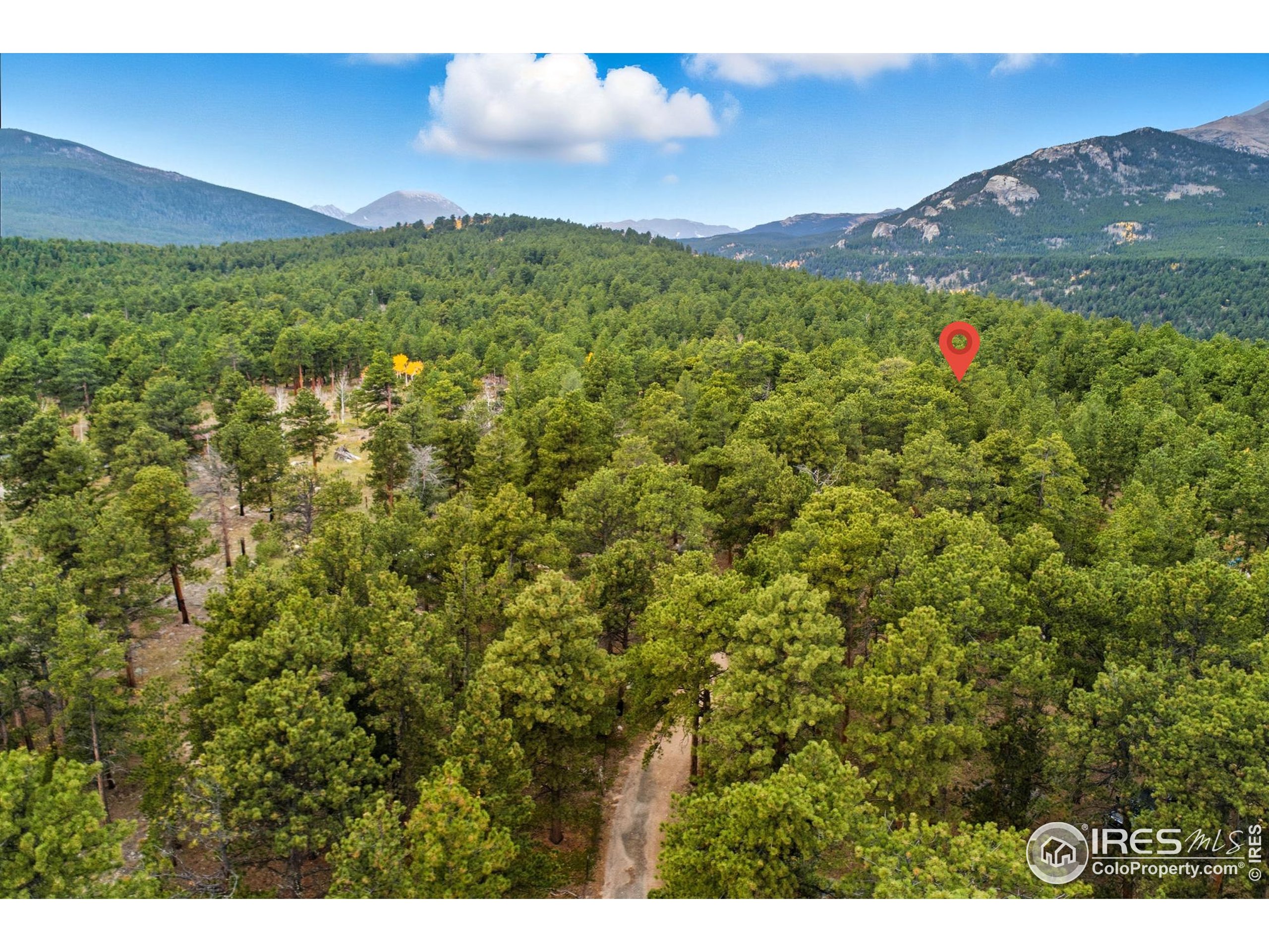 437 County Road 84 W