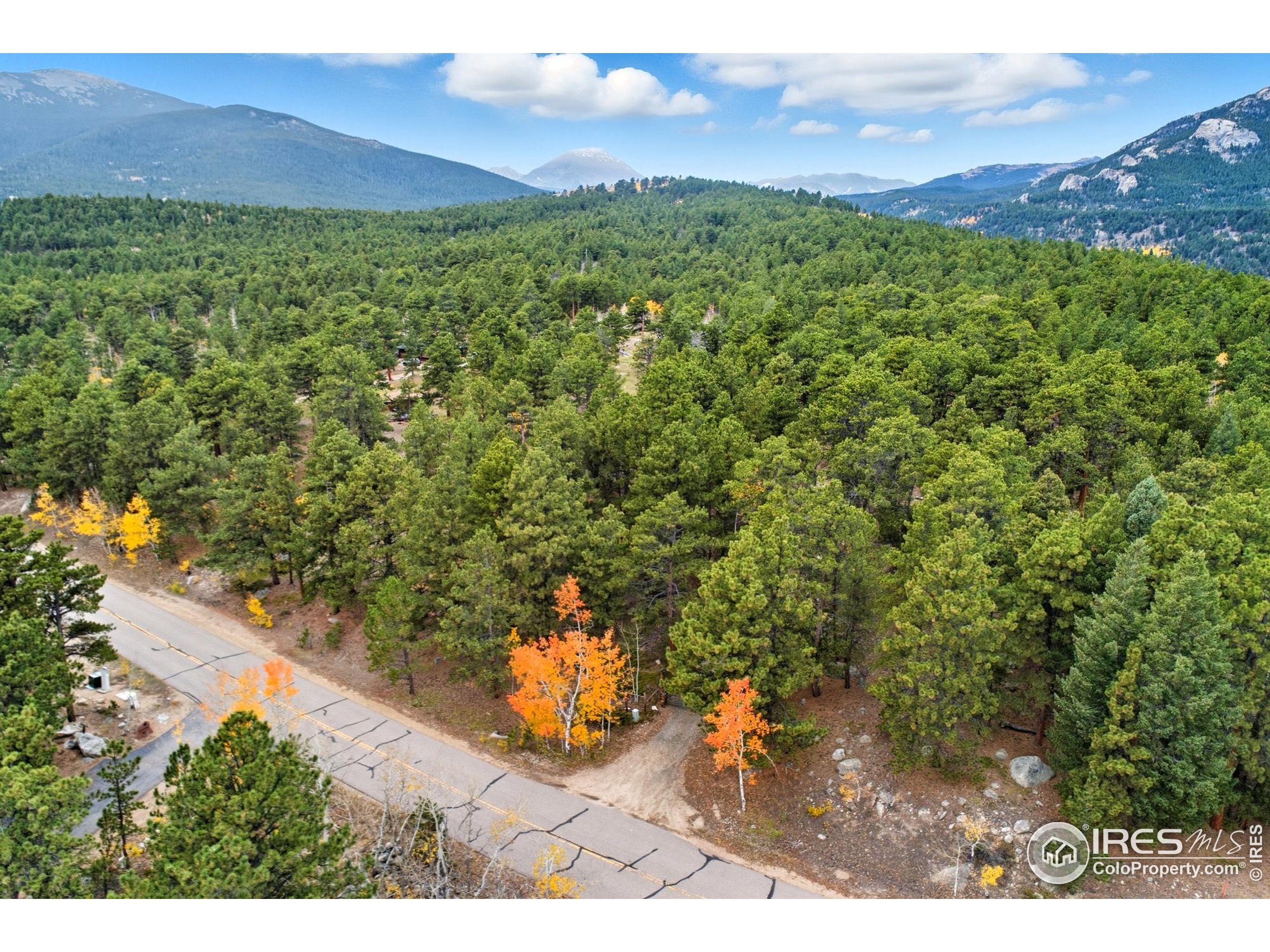 441 County Road 84 W