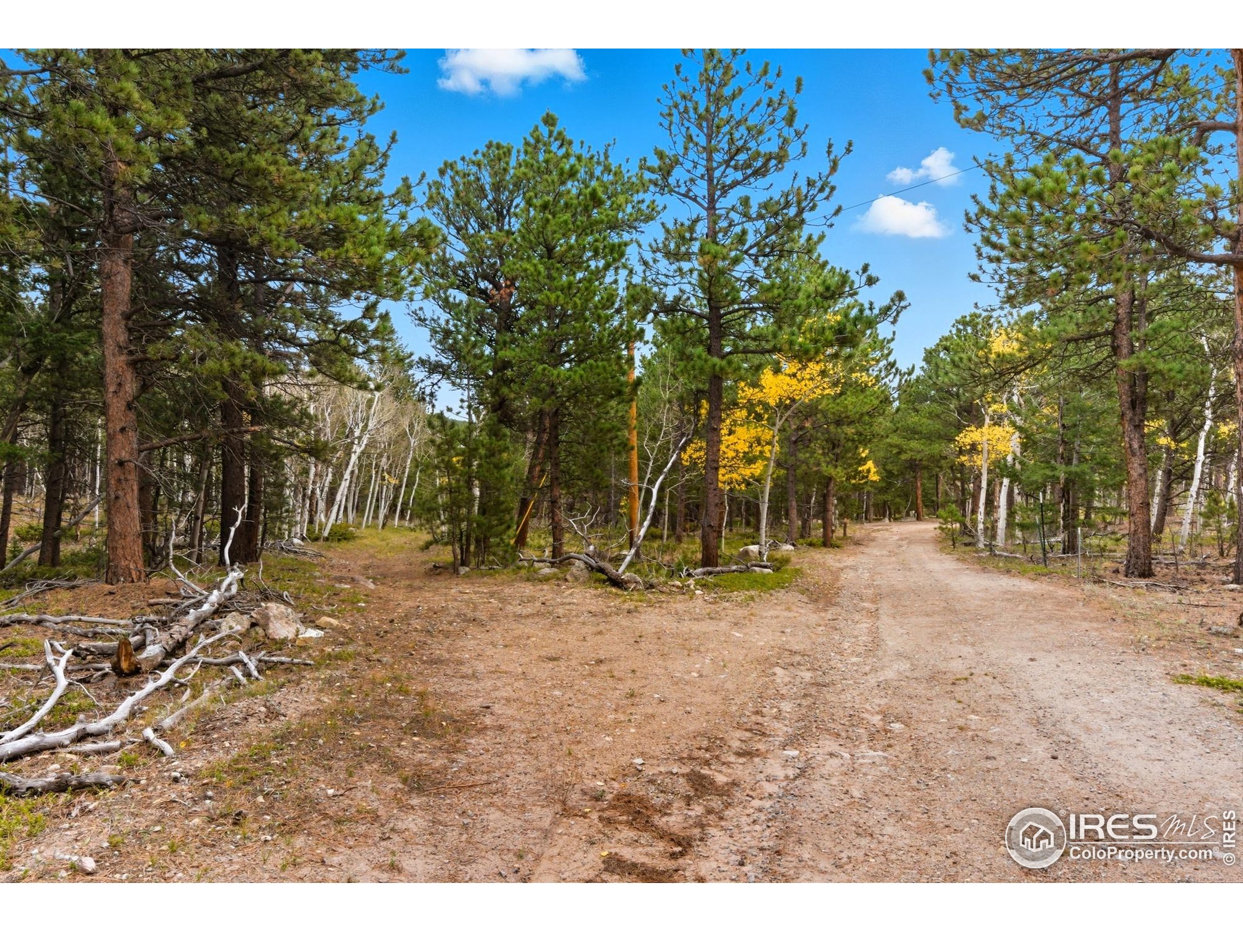 441 County Road 84 W