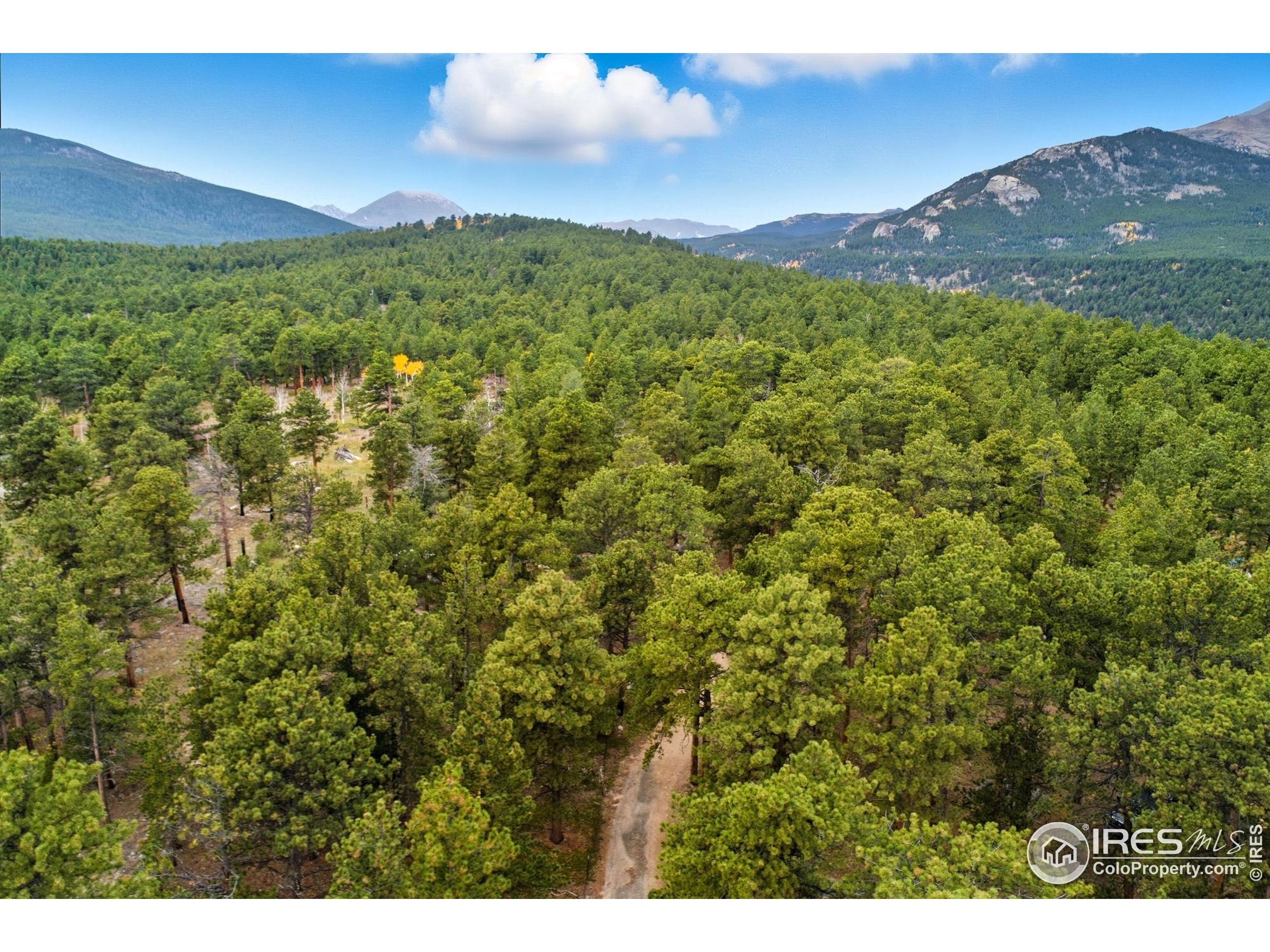 441 County Road 84 W