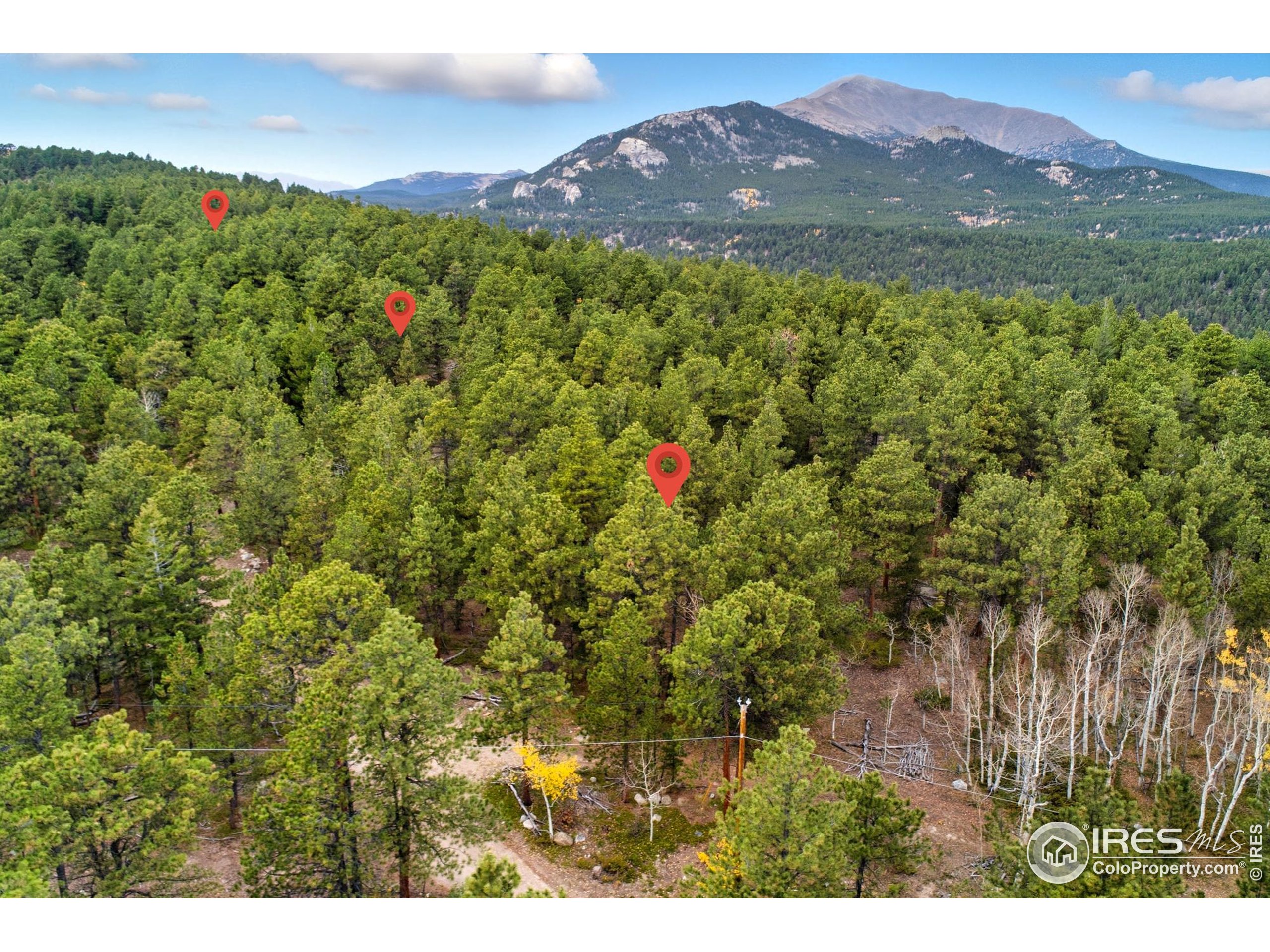 441 County Road 84 W