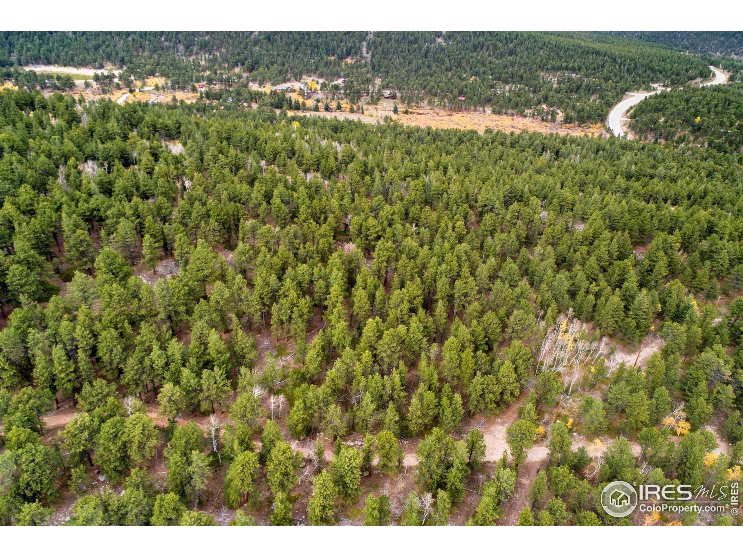 441 County Road 84 W