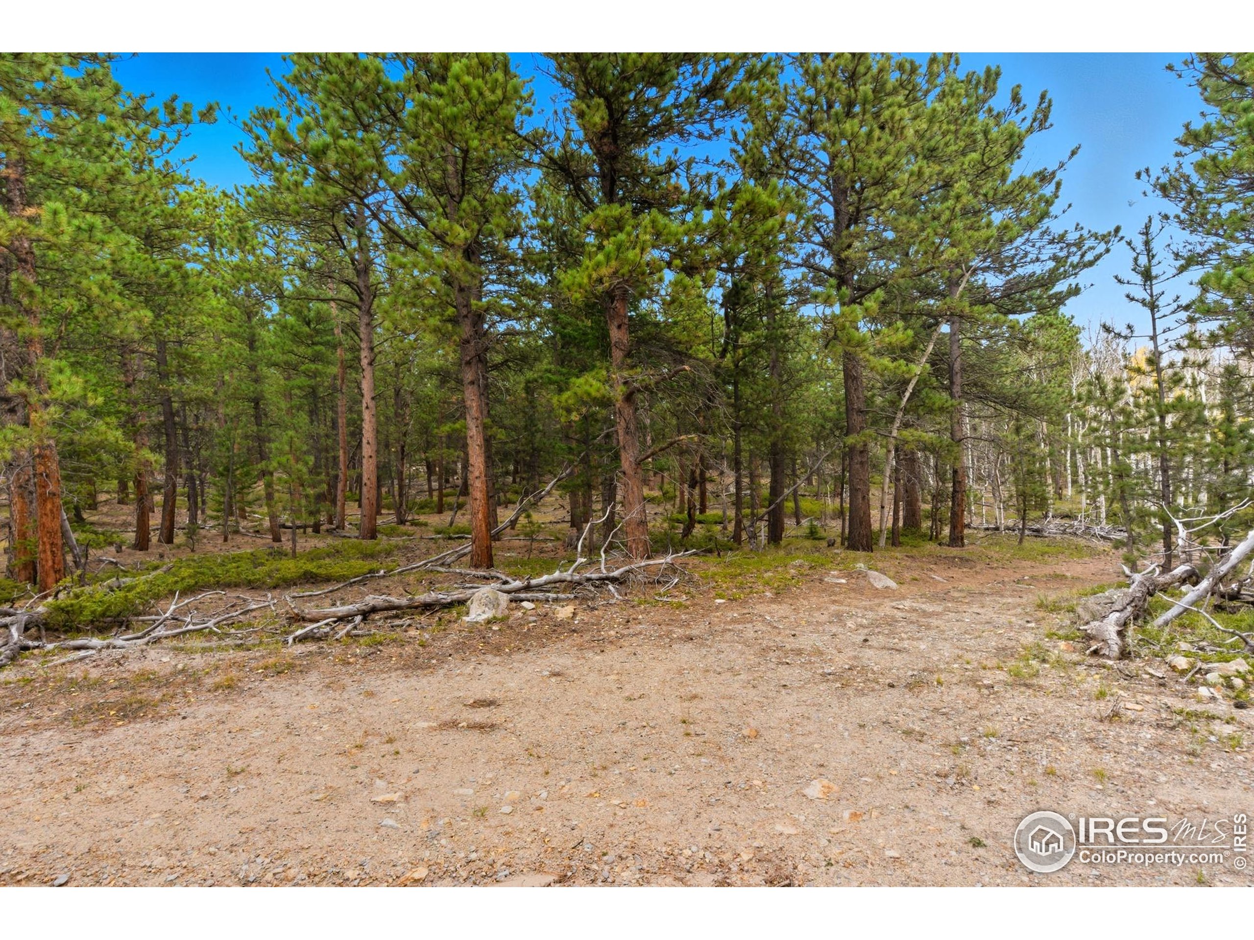 441 County Road 84 W