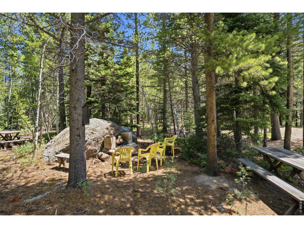 225 Mills Moraine Dr