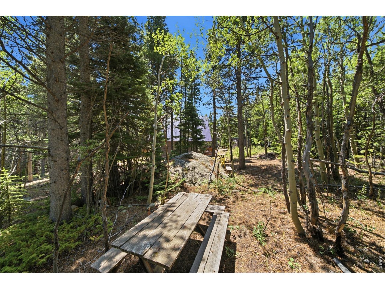 225 Mills Moraine Dr