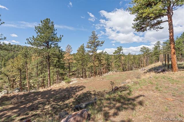442 Ruby Forest Trail
