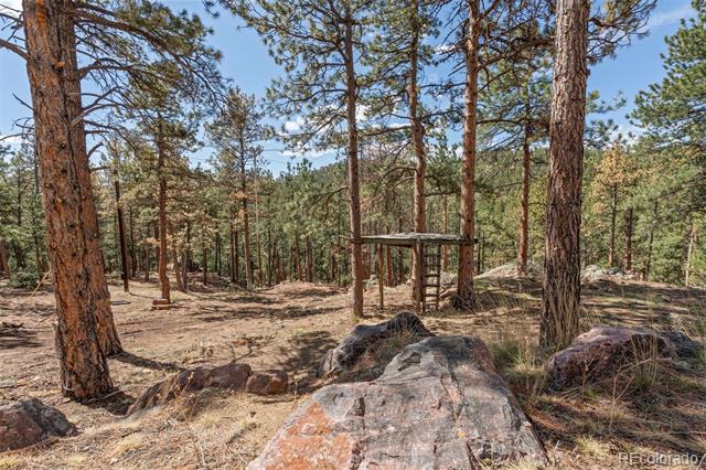 442 Ruby Forest Trail