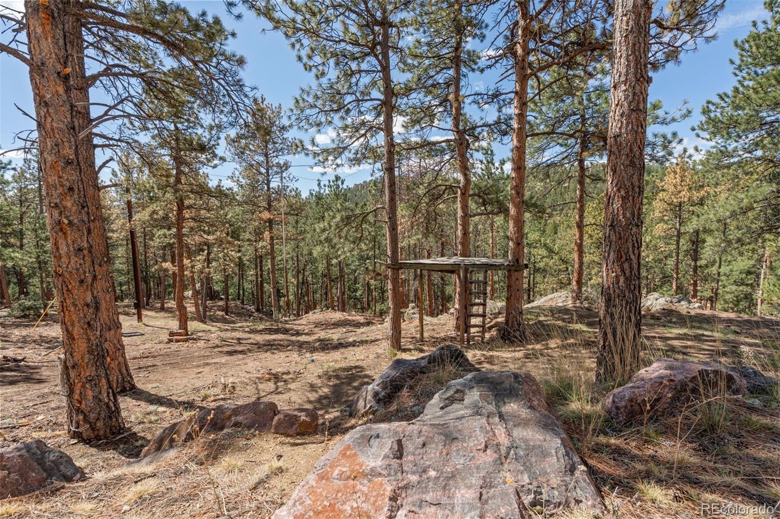 442 Ruby Forest Trail